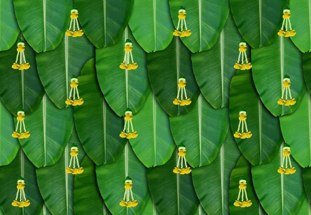 Banana Leaf Curtain Backdrop